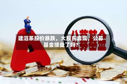 建滔系股价暴跌，大股东套现，公募基金接盘了吗？-第3张图片