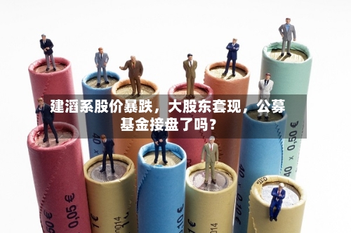 建滔系股价暴跌，大股东套现，公募基金接盘了吗？
