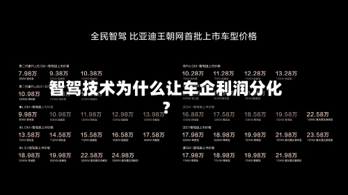 智驾技术为什么让车企利润分化?-第2张图片