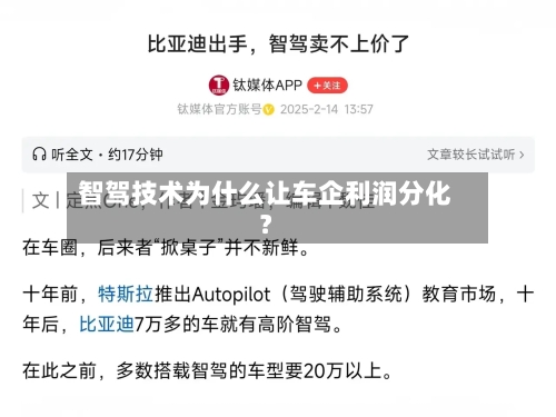 智驾技术为什么让车企利润分化?-第3张图片