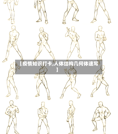 【疫情知识打卡,人体结构几何体速写】