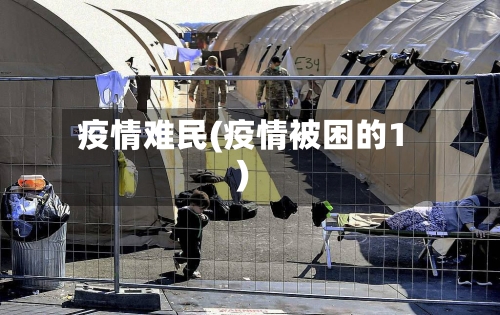 疫情难民(疫情被困的1)