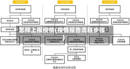 怎样上报疫情(疫情报告流程步骤)