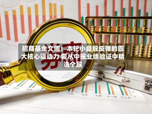 招商基金文雨:本轮小盘股反弹的四大核心驱动力 需从中报业绩验证中精选个股-第2张图片
