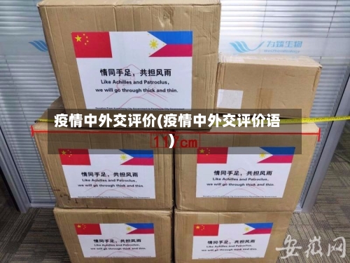 疫情中外交评价(疫情中外交评价语)