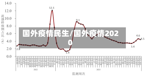 国外疫情民生/国外疫情2020