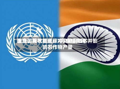 联合国粮农组织：7月食品费用上涨，天气与地缘冲突推高成本并影响农作物产量-第2张图片