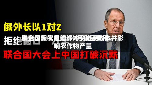 联合国粮农组织：7月食品费用上涨，天气与地缘冲突推高成本并影响农作物产量-第3张图片
