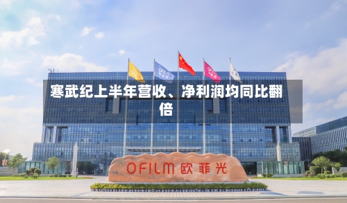 寒武纪上半年营收、净利润均同比翻倍-第2张图片