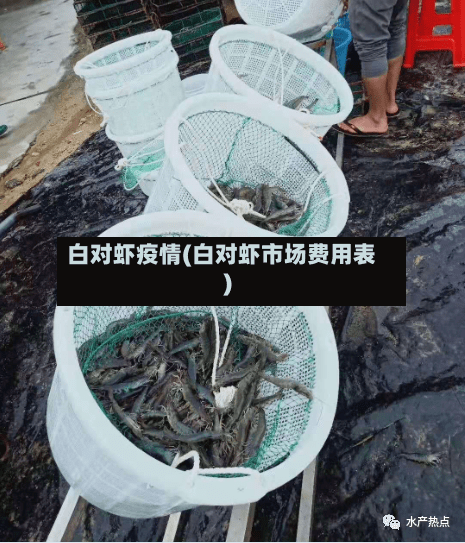白对虾疫情(白对虾市场费用表)-第3张图片