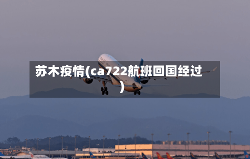 苏木疫情(ca722航班回国经过)-第3张图片