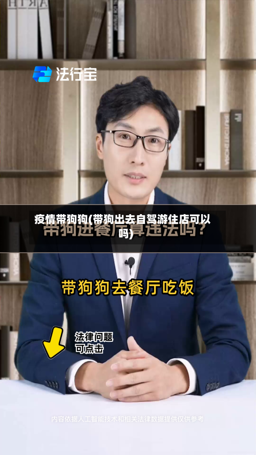 疫情带狗狗(带狗出去自驾游住店可以吗)-第2张图片