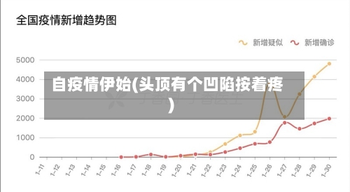自疫情伊始(头顶有个凹陷按着疼)-第3张图片