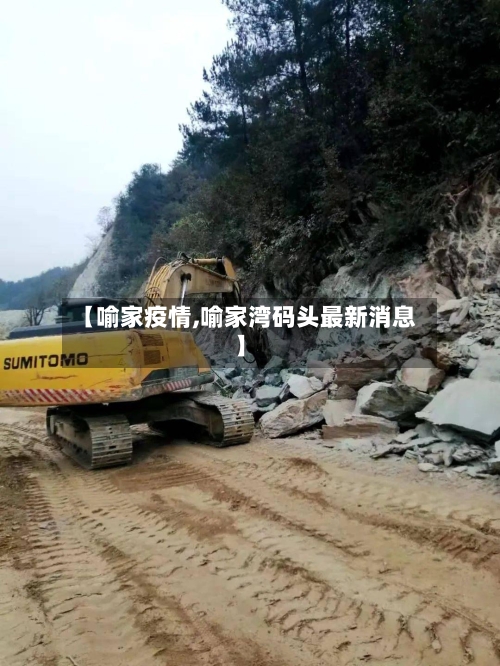 【喻家疫情,喻家湾码头最新消息】