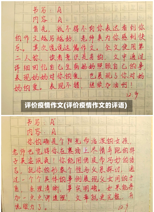 评价疫情作文(评价疫情作文的评语)