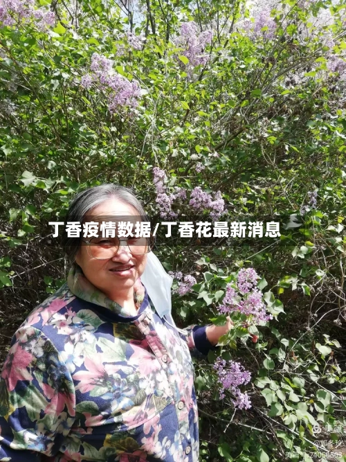 丁香疫情数据/丁香花最新消息