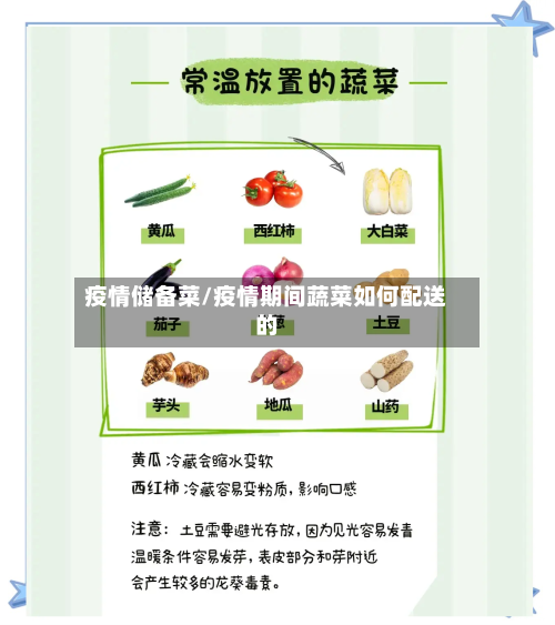 疫情储备菜/疫情期间蔬菜如何配送的-第3张图片