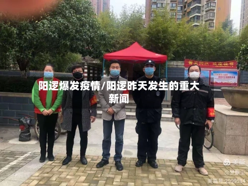 阳逻爆发疫情/阳逻昨天发生的重大新闻-第2张图片