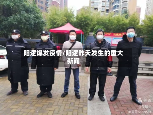 阳逻爆发疫情/阳逻昨天发生的重大新闻