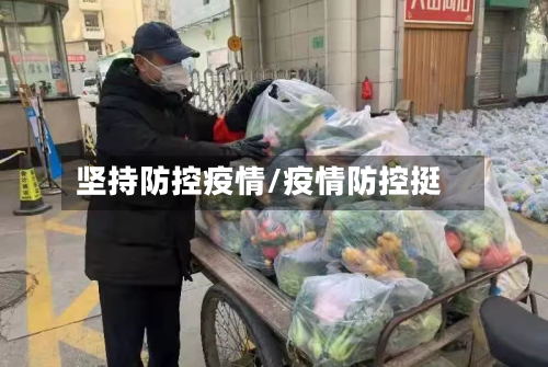 坚持防控疫情/疫情防控挺