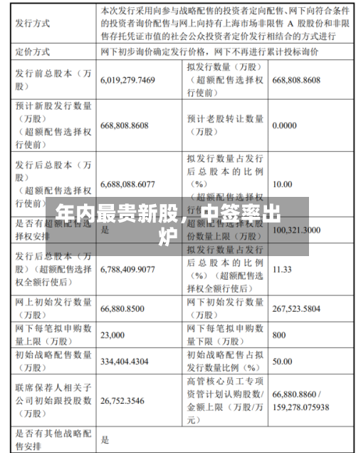 年内最贵新股	，中签率出炉-第3张图片