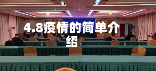 4.8疫情的简单介绍