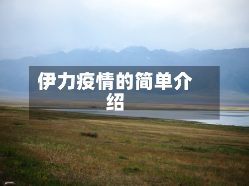 伊力疫情的简单介绍