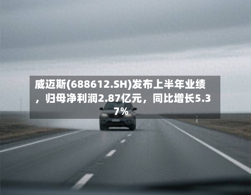 威迈斯(688612.SH)发布上半年业绩	，归母净利润2.87亿元，同比增长5.37%-第2张图片