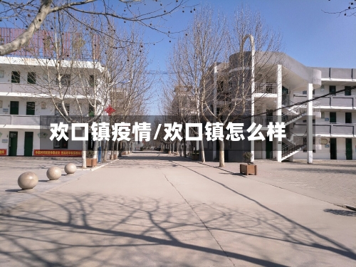欢口镇疫情/欢口镇怎么样-第3张图片