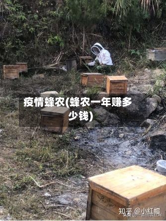 疫情蜂农(蜂农一年赚多少钱)