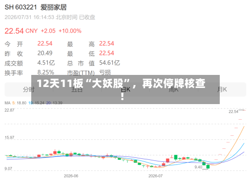 12天11板“大妖股	”，再次停牌核查！-第2张图片
