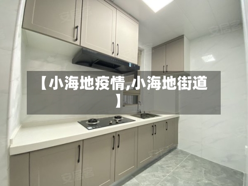 【小海地疫情,小海地街道】