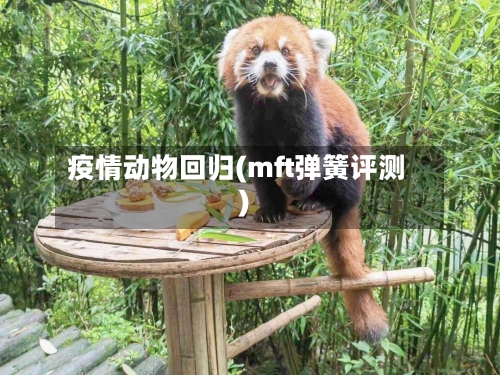 疫情动物回归(mft弹簧评测)-第2张图片