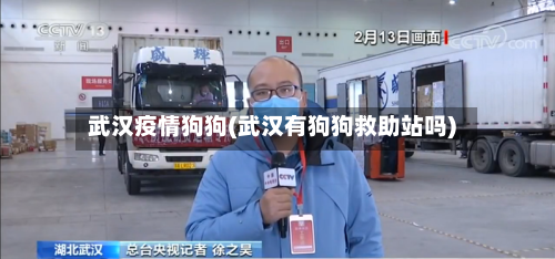 武汉疫情狗狗(武汉有狗狗救助站吗)