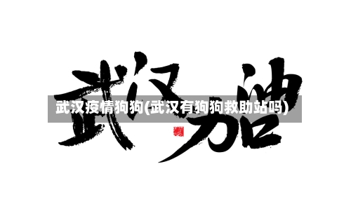 武汉疫情狗狗(武汉有狗狗救助站吗)-第2张图片