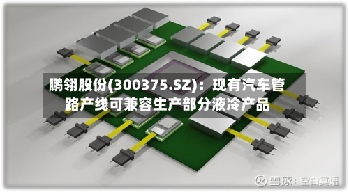鹏翎股份(300375.SZ):现有汽车管路产线可兼容生产部分液冷产品-第2张图片