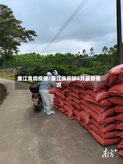廉江良垌疫情/廉江良垌镇6月最新情况-第2张图片