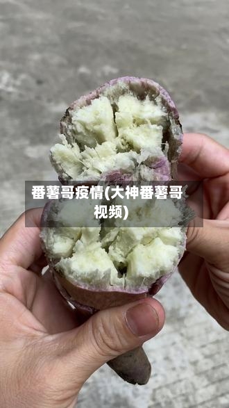 番薯哥疫情(大神番薯哥视频)-第2张图片