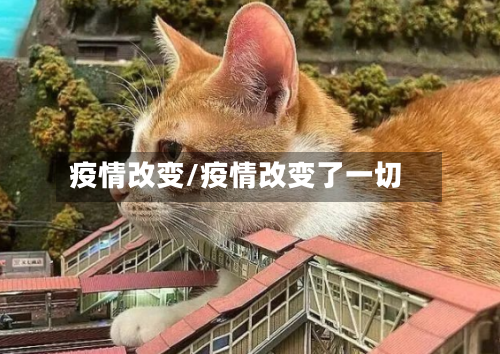 疫情改变/疫情改变了一切-第3张图片