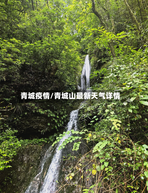 青城疫情/青城山最新天气详情-第2张图片