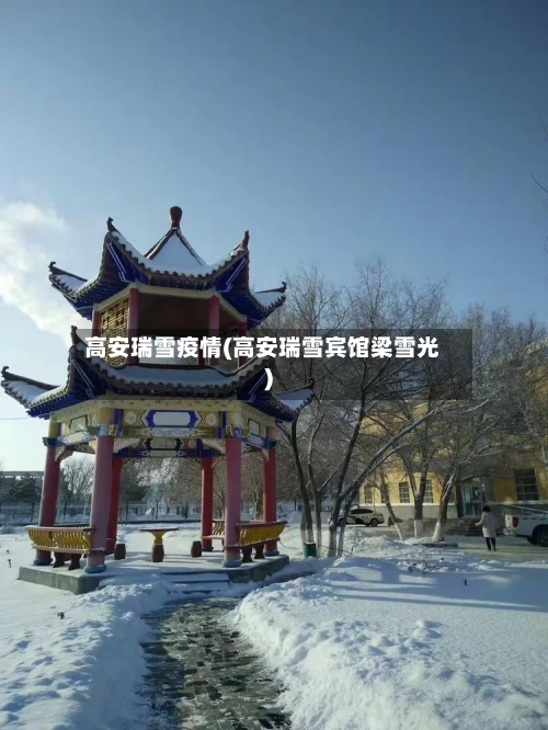 高安瑞雪疫情(高安瑞雪宾馆梁雪光)-第2张图片
