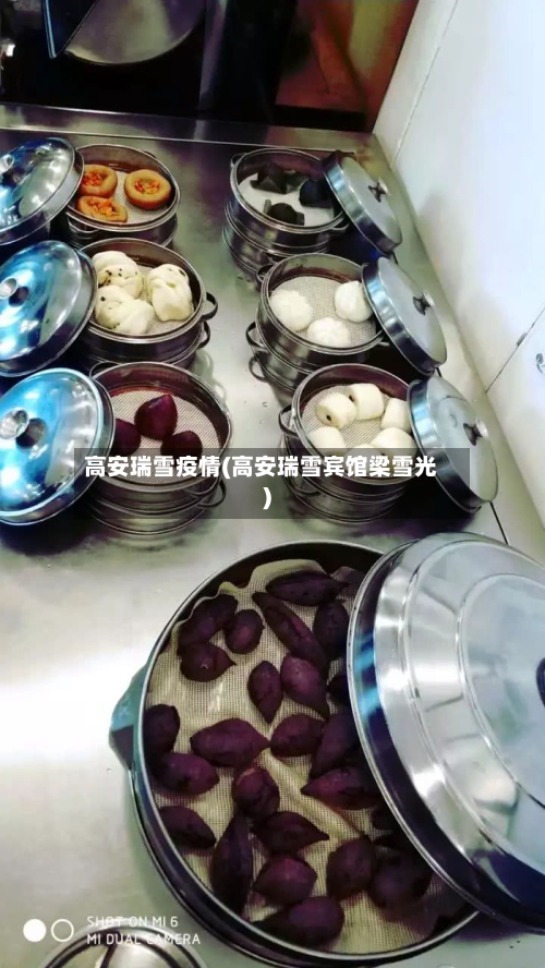 高安瑞雪疫情(高安瑞雪宾馆梁雪光)