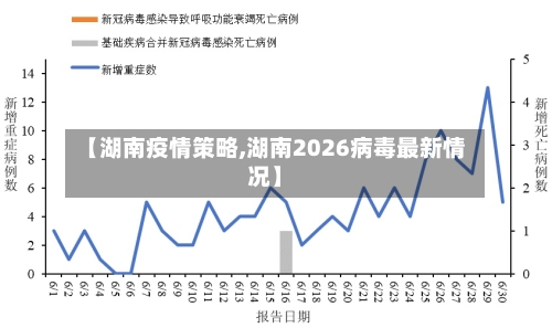 【湖南疫情策略,湖南2026病毒最新情况】-第2张图片