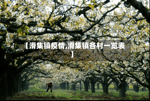 【滑集镇疫情,滑集镇各村一览表】