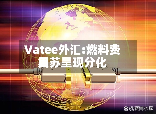 Vatee外汇:燃料费用
复苏呈现分化-第2张图片
