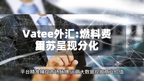 Vatee外汇:燃料费用
复苏呈现分化-第3张图片