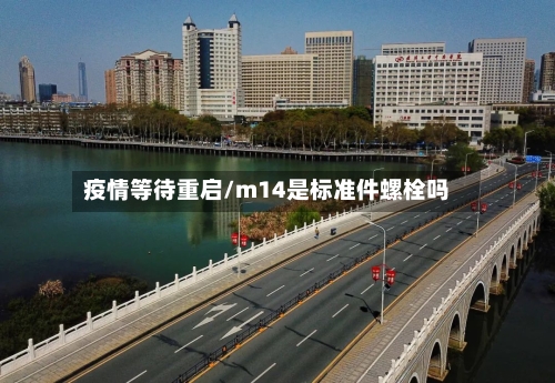 疫情等待重启/m14是标准件螺栓吗-第3张图片