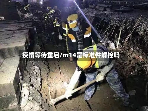 疫情等待重启/m14是标准件螺栓吗