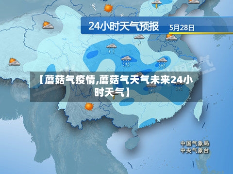 【蘑菇气疫情,蘑菇气天气未来24小时天气】-第3张图片