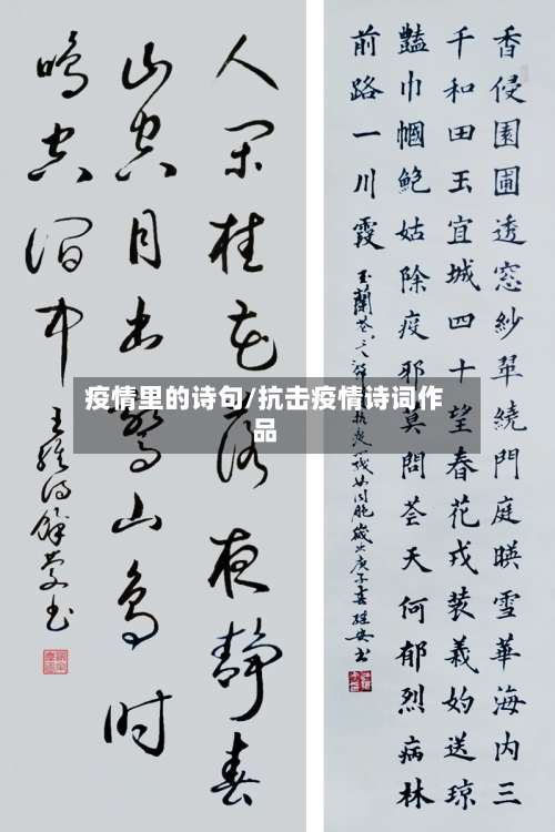 疫情里的诗句/抗击疫情诗词作品